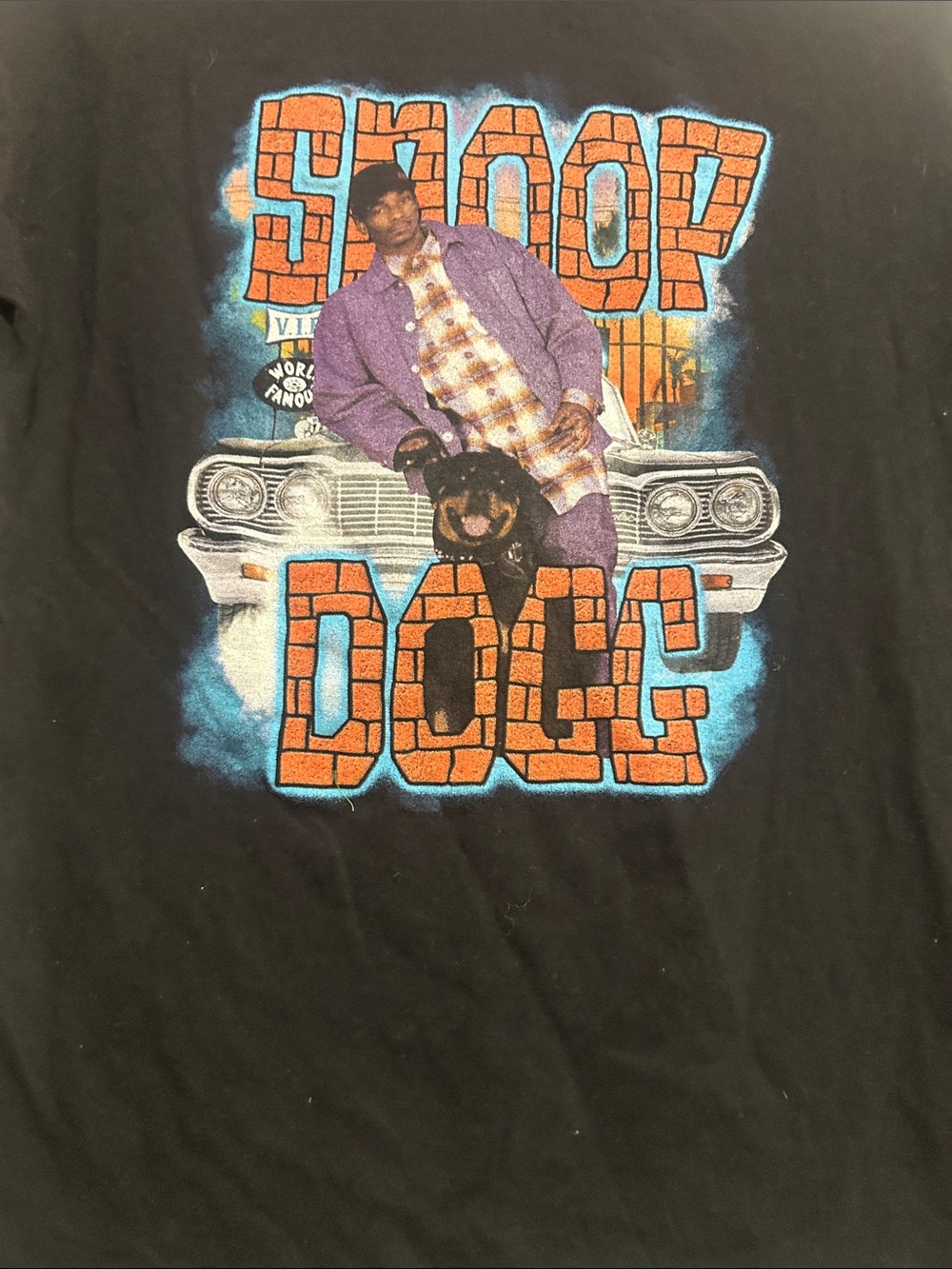 Snoop Dogg Graphic Tee with Bold Orange Brick Logo Kids XL Ladies Small